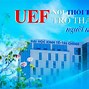 Gia Hạn Đóng Học Phí Uef Năm 2024 2 Year