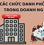 Md La Chức Danh Gì